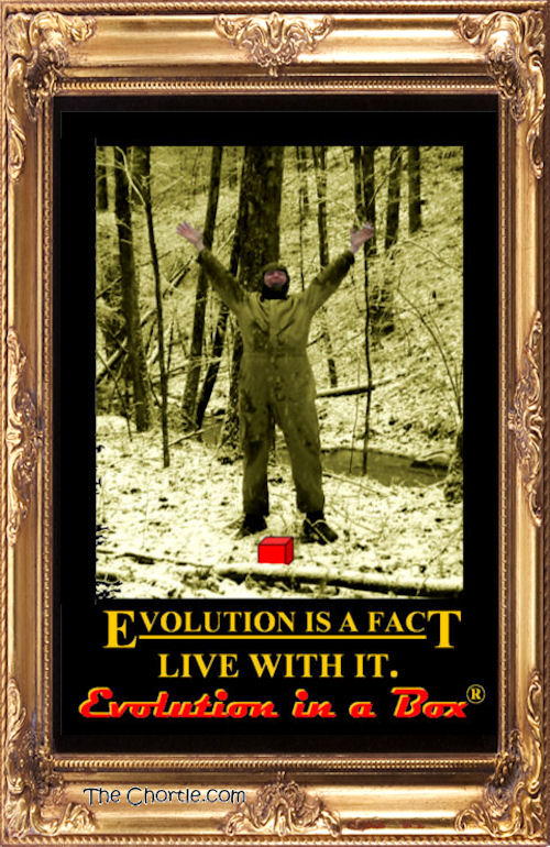 Evolution in a Box #3