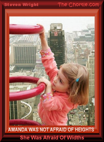 Amanda was not afraid of heights.&nbsp;She was afraid of widths - Steven Wright 
