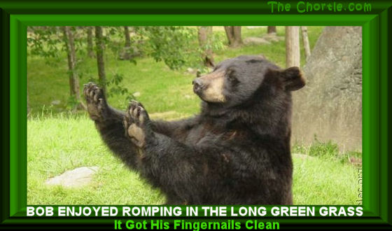 Bob enjoyed romping in the long green.&nbsp;It got his fingernails clean.