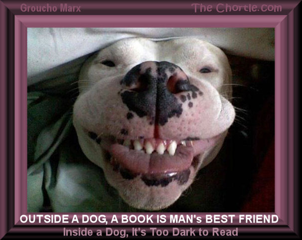 Outside a dog, a book is man's best friend.&nbsp;Inside a dog, it's too dark to read.&nbsp;Groucho Marx