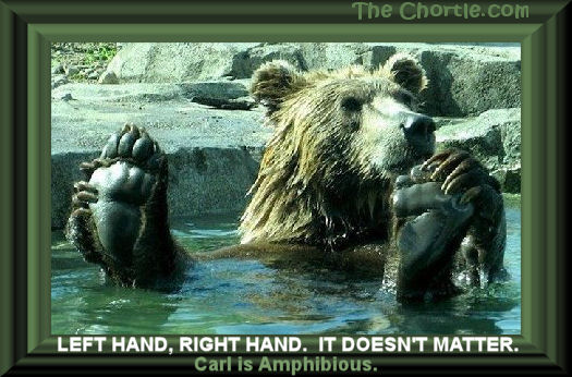 Left hand, right hand.&nbsp;It doesn't matter.&nbsp;Carl is amphibious.