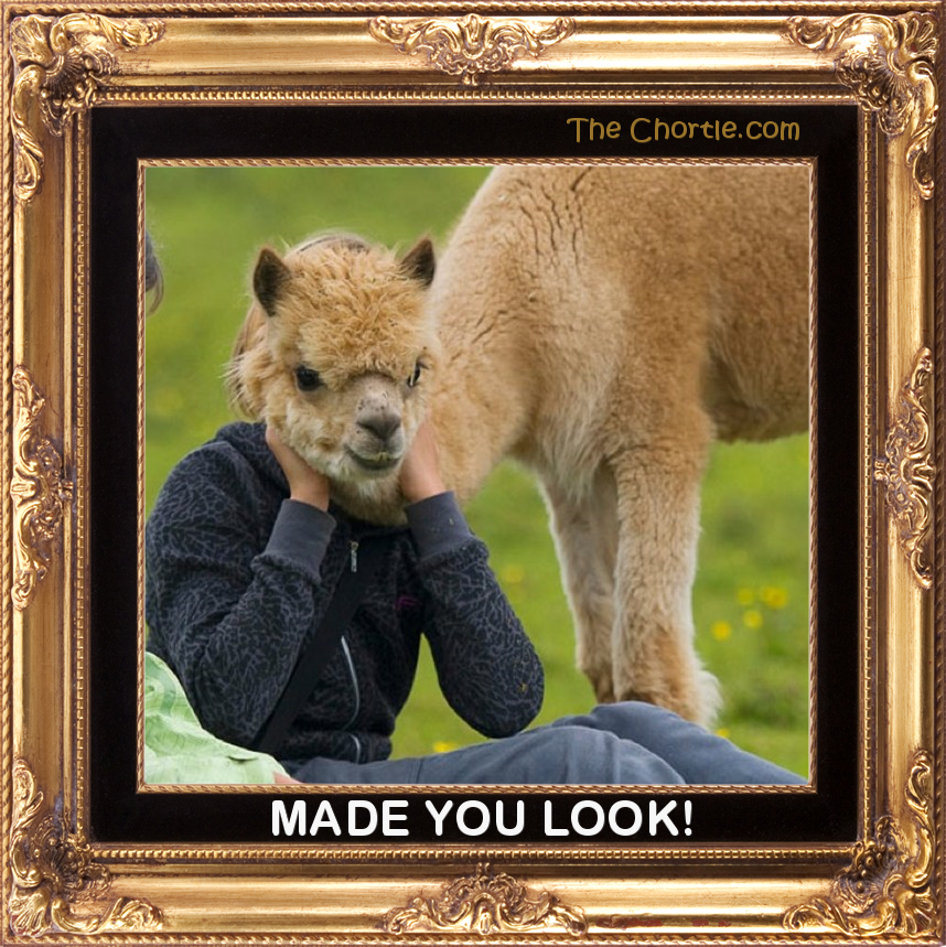 Made you look!