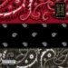Dead Prez - 