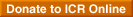 Donate to ICR Online