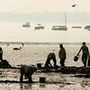 Clam Diggers �€“ 2002