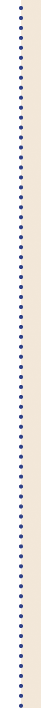Dotted Divider Line